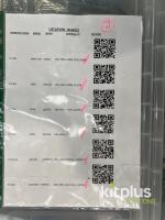 LARGE bundle of Probel, Axon, Everts, Reidel, cards - 9