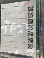 LARGE bundle of Probel, Axon, Everts, Reidel, cards - 13