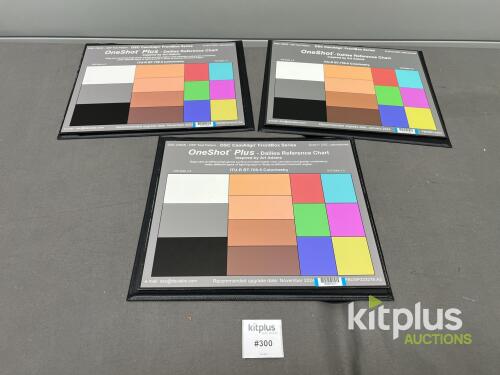 DSC CamAlign OneShot Plus Dailies Reference Chart, A3 Size, AcuFlect Surface, ITU-R BT.709-5 Standard Qty 3